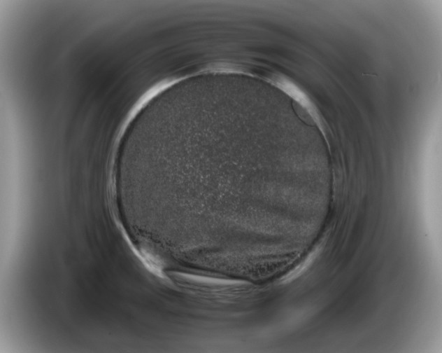 X0000086241141200704121929