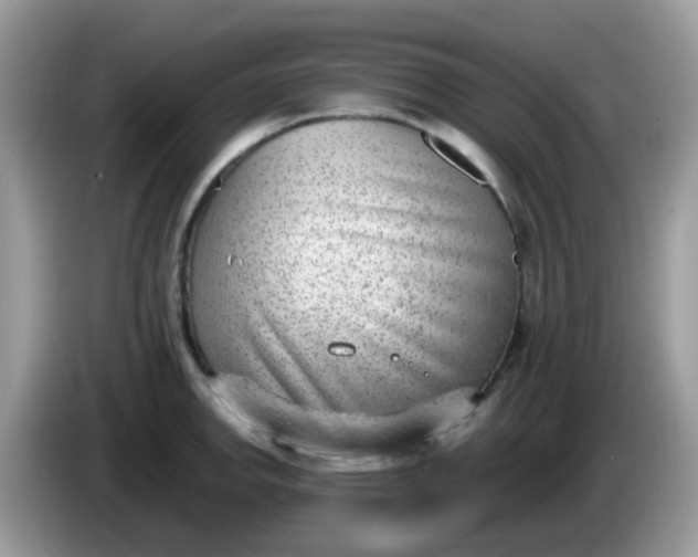 X0000086241142200704121929