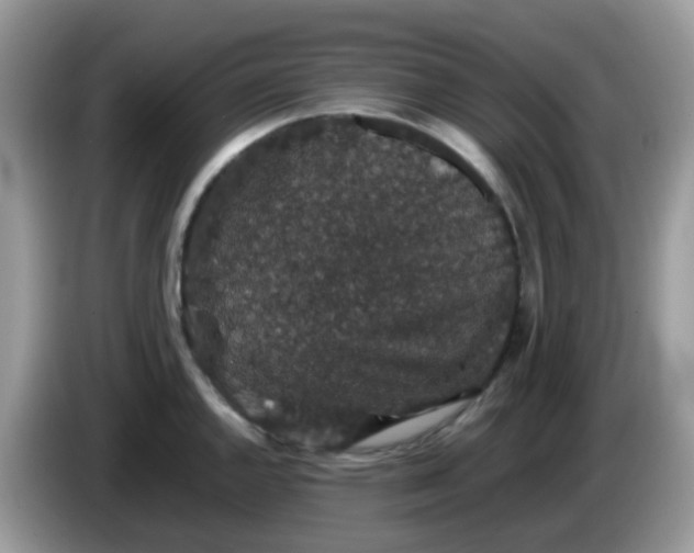 X0000086241144200704121929