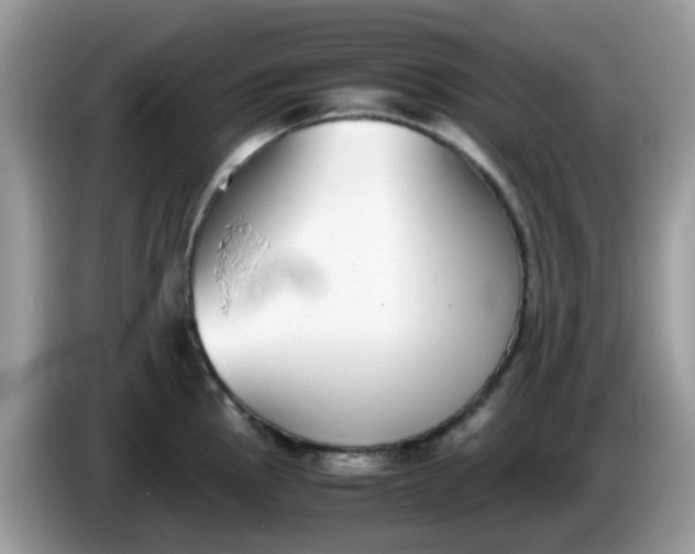 X0000086241145200704121929