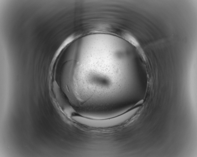 X0000086241146200704121929