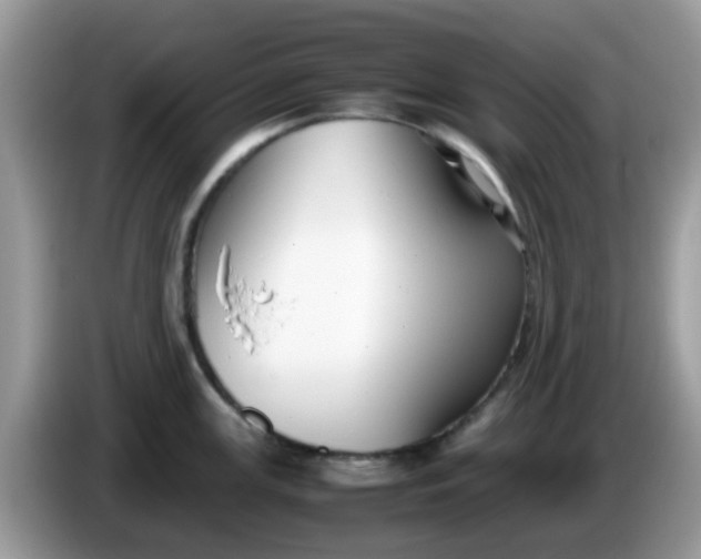 X0000086241147200704121929