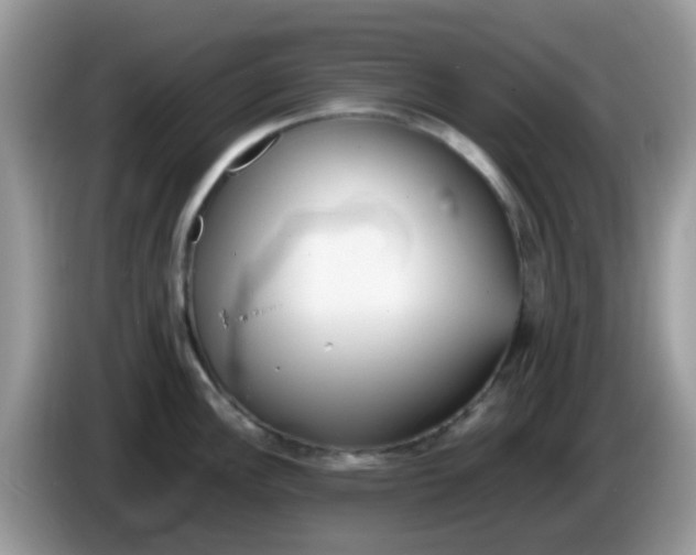 X0000086241148200704121929
