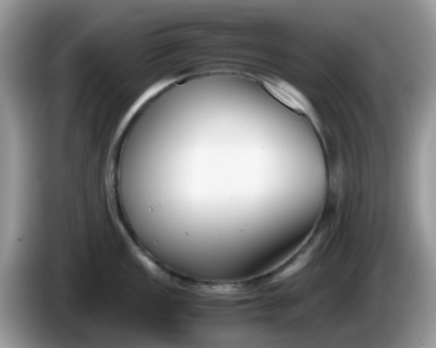 X0000086241149200704121929
