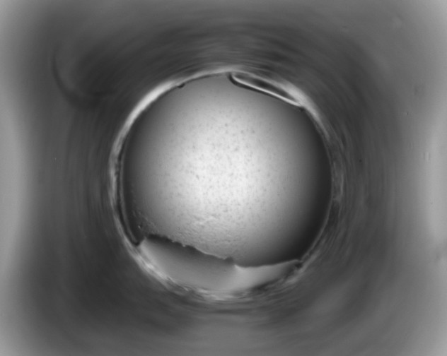 X0000086241151200704121929