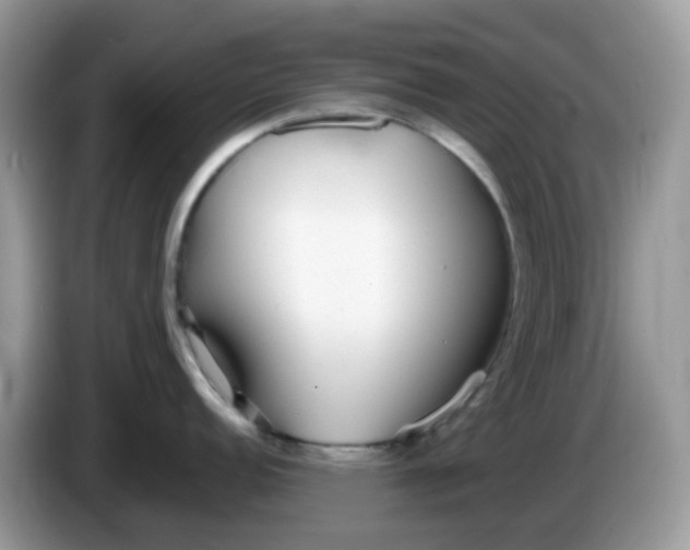 X0000086241152200704121929