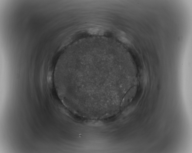 X0000086241154200704121928