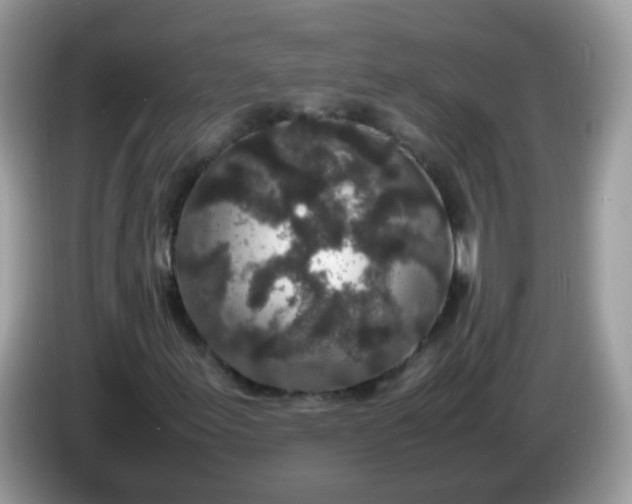 X0000086241155200704121928