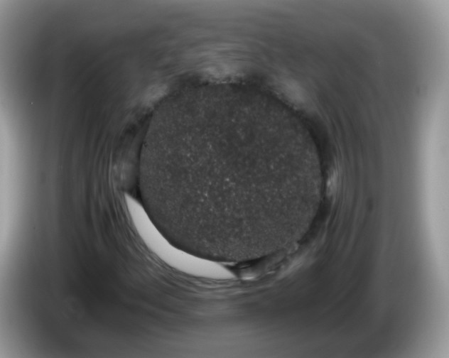 X0000086241156200704121928