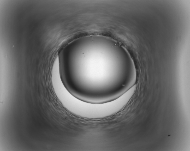 X0000086241157200704121928