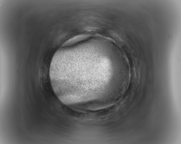 X0000086241158200704121928