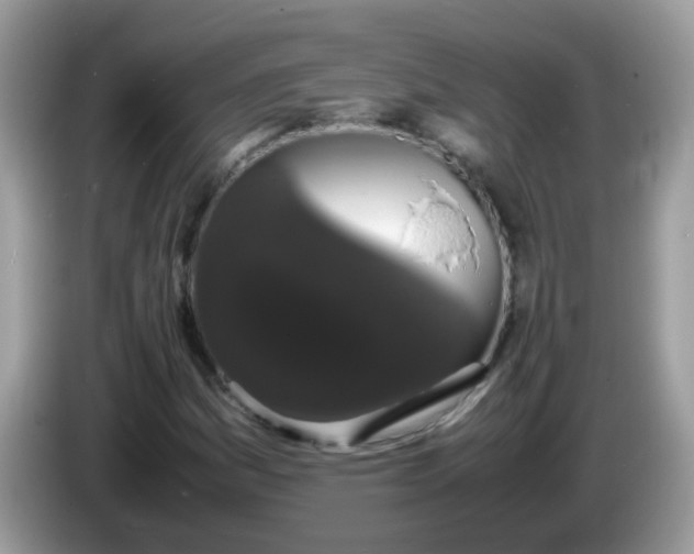 X0000086241161200704121928