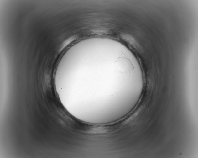 X0000086241162200704121928