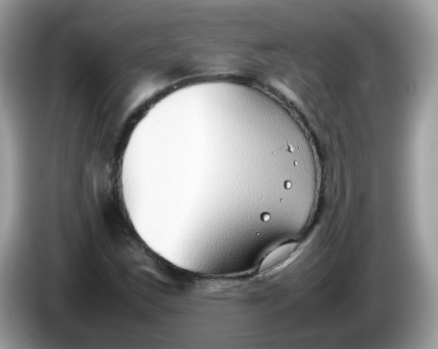 X0000086241163200704121928