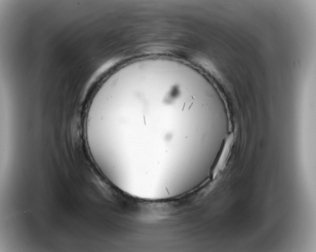 X0000086241164200704121928