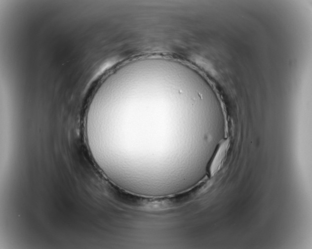 X0000086241165200704121928