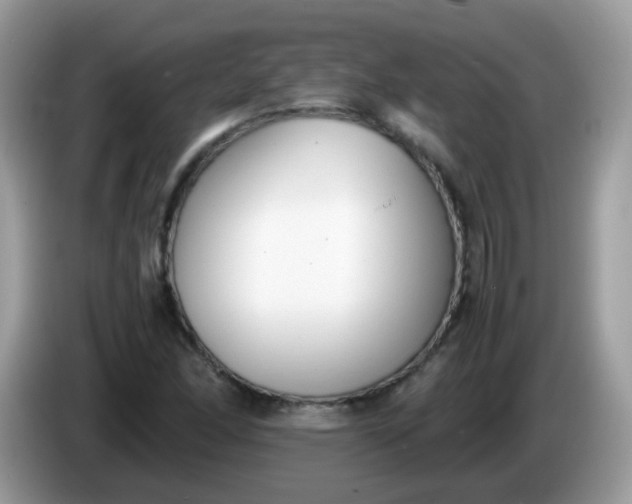X0000086241166200704121928