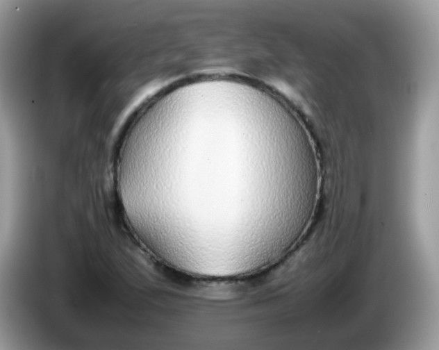 X0000086241167200704121928