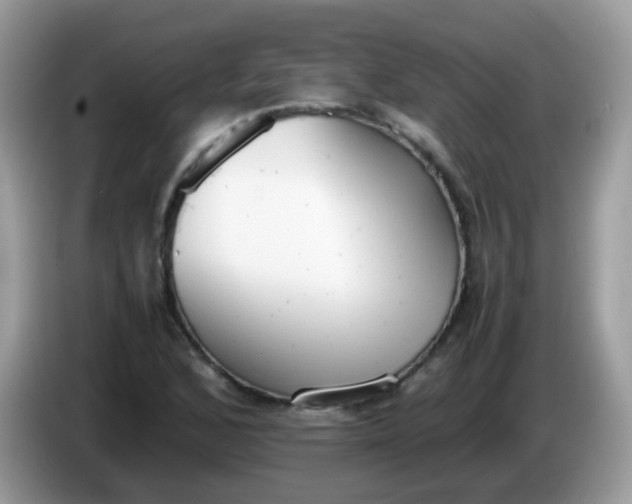 X0000086241168200704121928