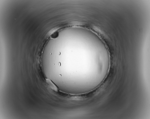 X0000086241169200704121928