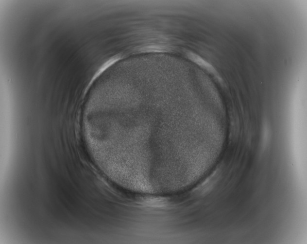 X0000086241170200704121928