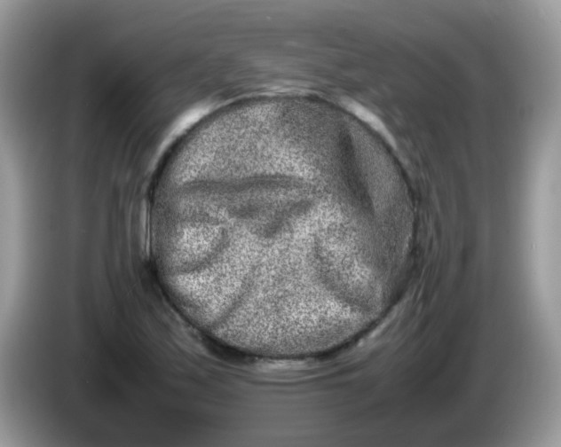 X0000086241171200704121928