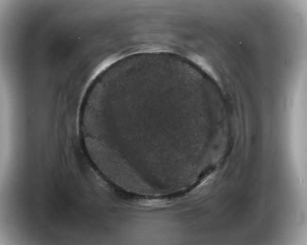 X0000086241173200704121928