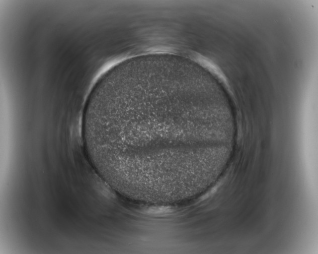 X0000086241174200704121928