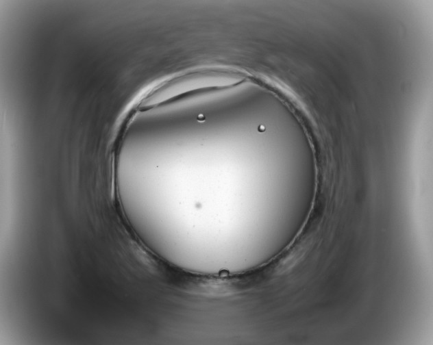 X0000086241175200704121928
