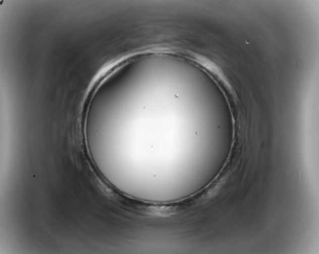 X0000086241176200704121928