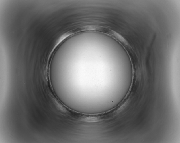 X0000086241178200704121928