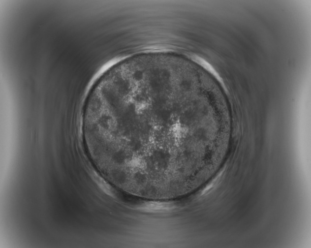 X0000086241179200704121928