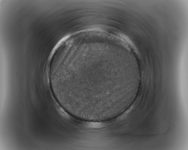 X0000086241180200704121928