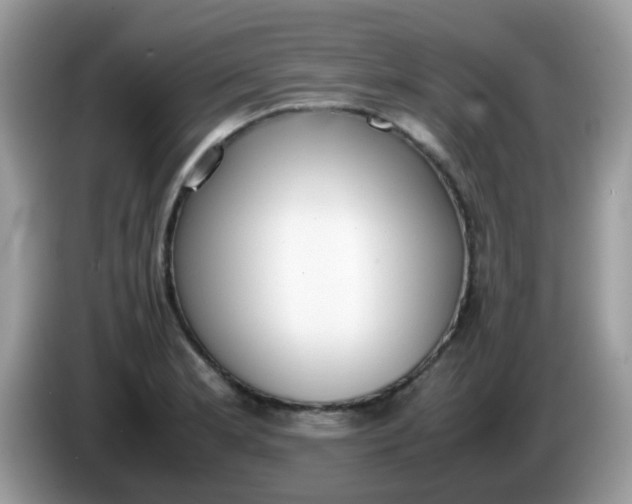 X0000086241181200704121928