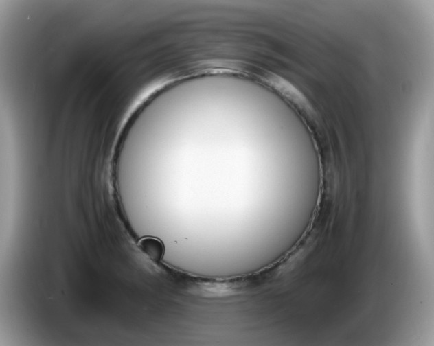 X0000086241182200704121928