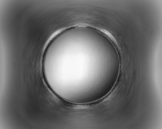 X0000086241183200704121928