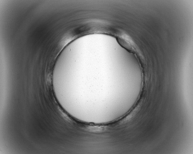 X0000086241185200704121928