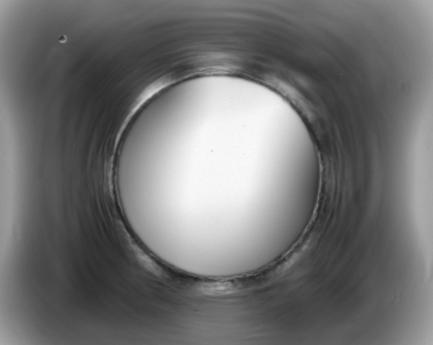 X0000086241186200704121928