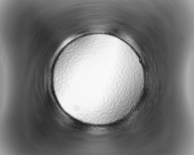 X0000086241187200704121928