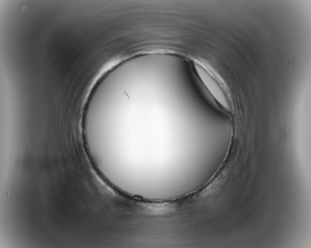 X0000086241189200704121928
