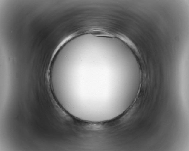 X0000086241190200704121928