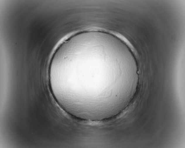 X0000086241191200704121928
