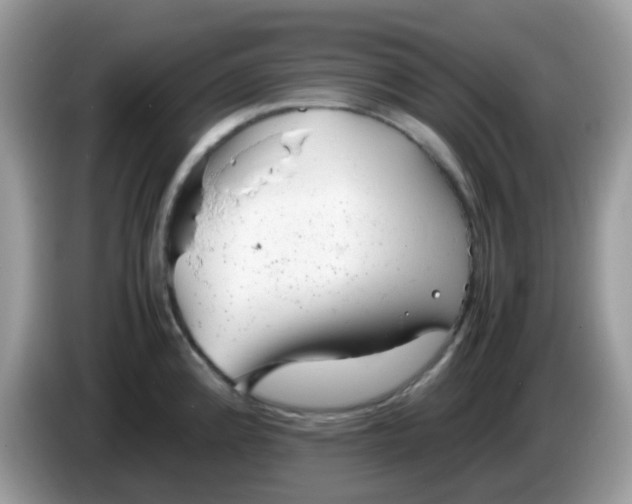 X0000086241192200704121928