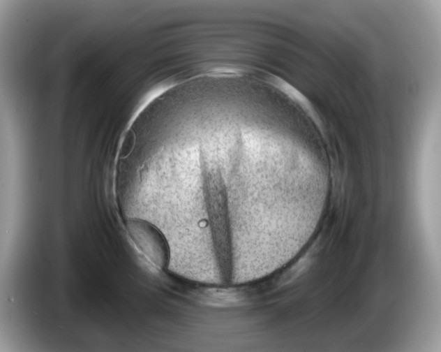 X0000086241194200704121928