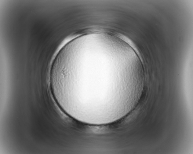 X0000086241195200704121928