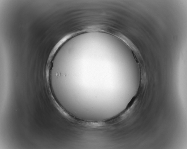 X0000086241196200704121928