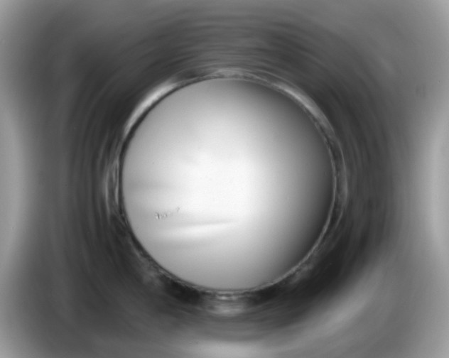 X0000086241198200704121928