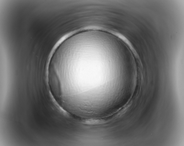 X0000086241199200704121928