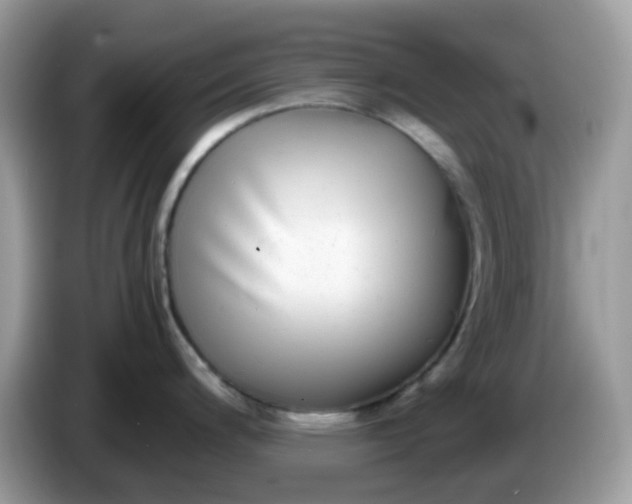 X0000086241200200704121928