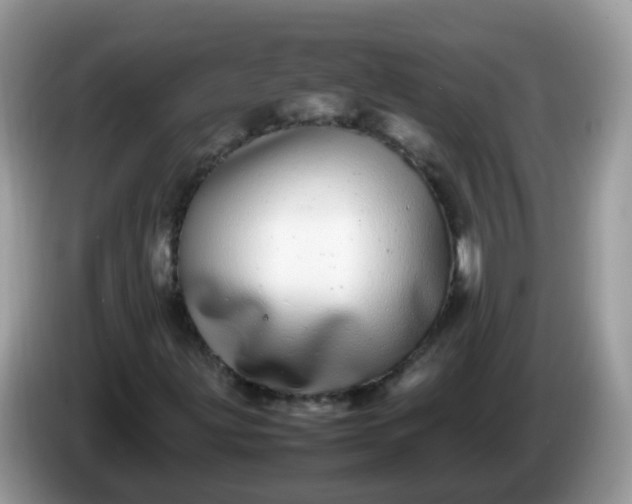 X0000086241203200704121927